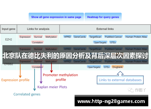 北京队在德比失利的原因分析及背后深层次因素探讨